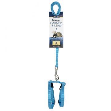 Harness & Lead Set - Blue